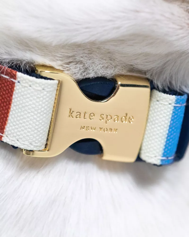 Adventure Stripe Collar S/M - thumbnail 4