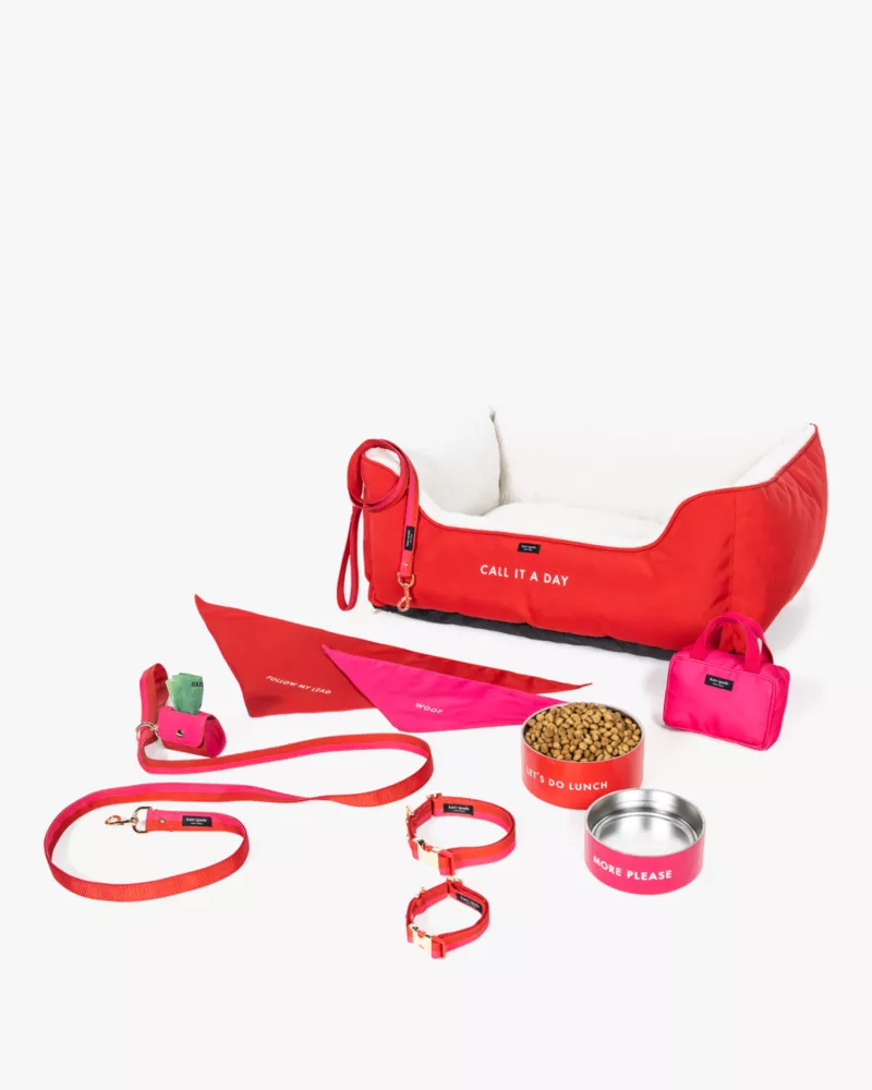Colorblock Leash - thumbnail 3