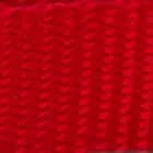 Colorblock Leash - thumbnail 5