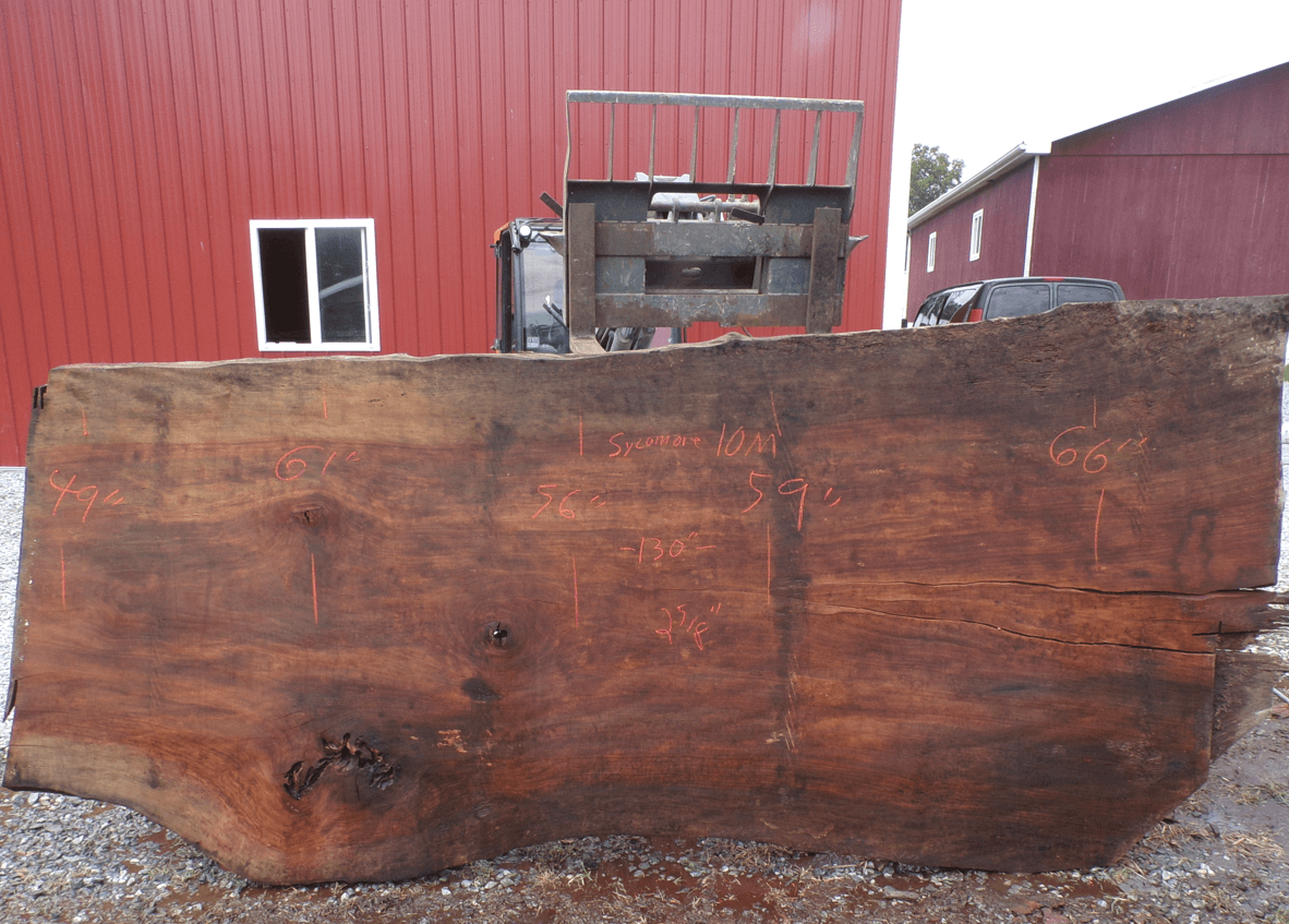 Live Edge Sycamore Slab 10 M