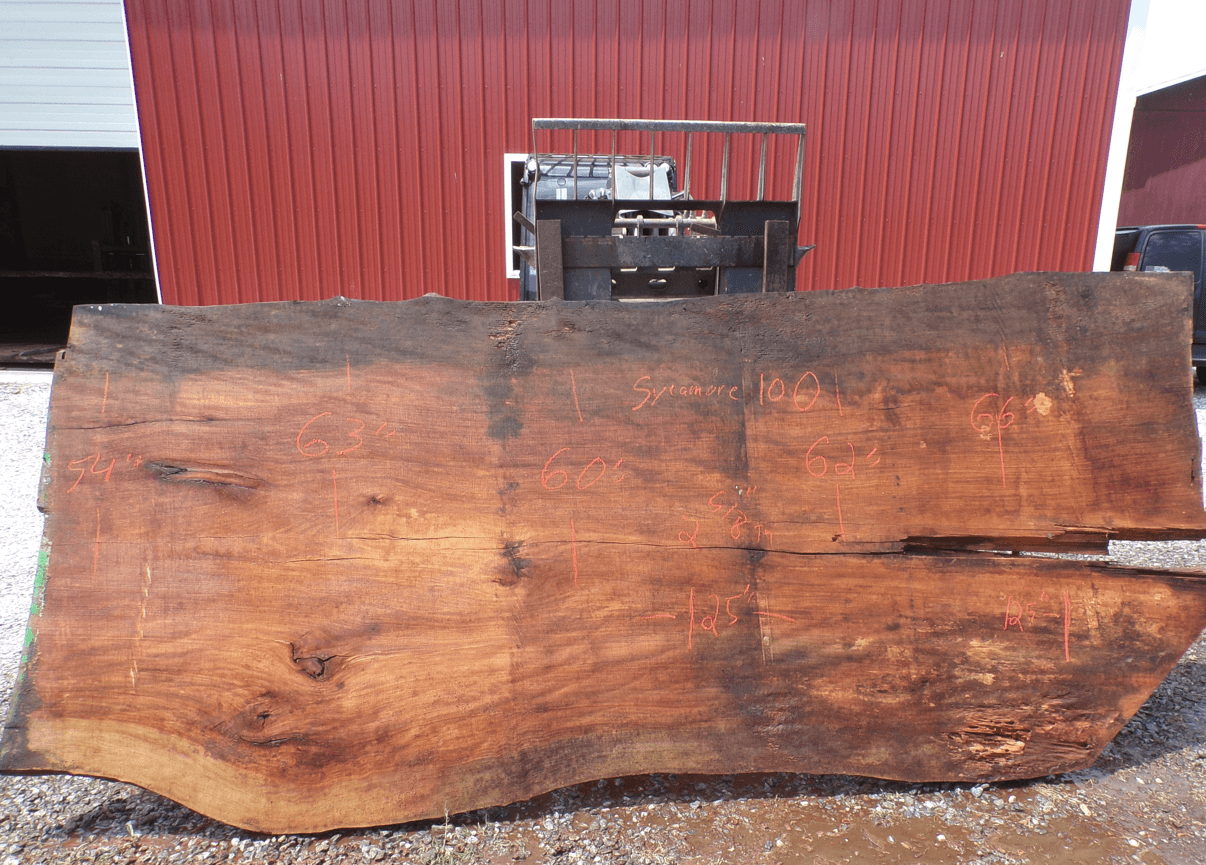 Live Edge Sycamore Slab 10 O