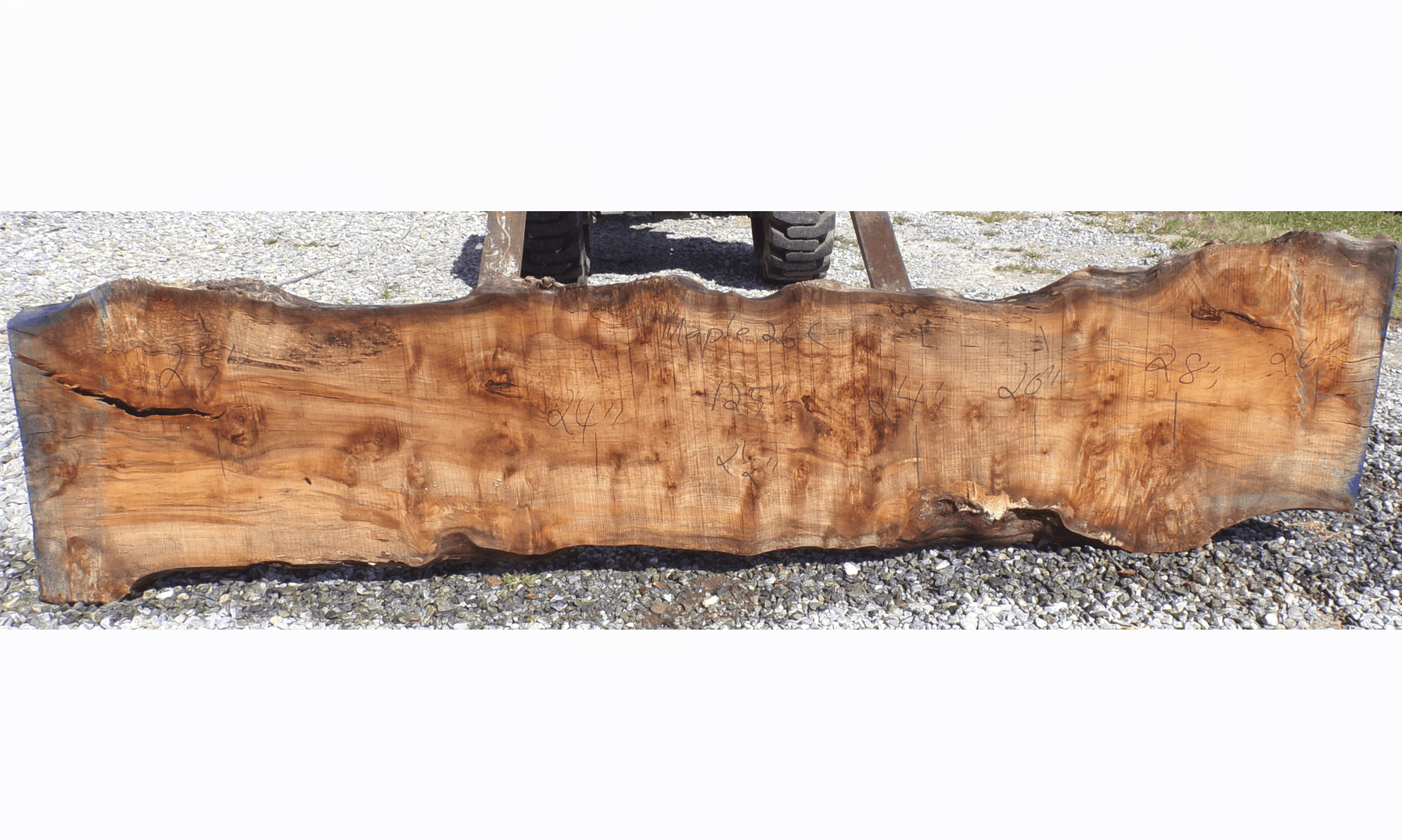Live Edge Maple Slab 26C