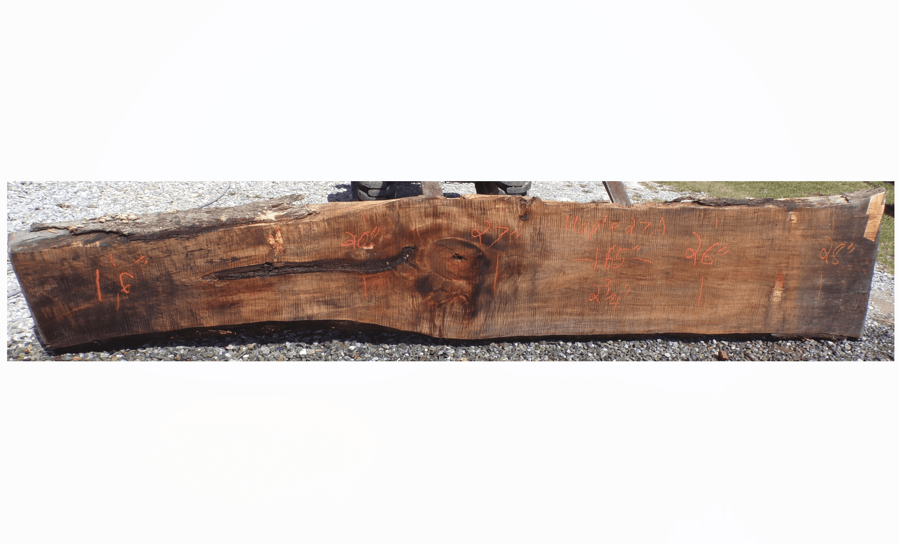 Live Edge Maple Slab 27A