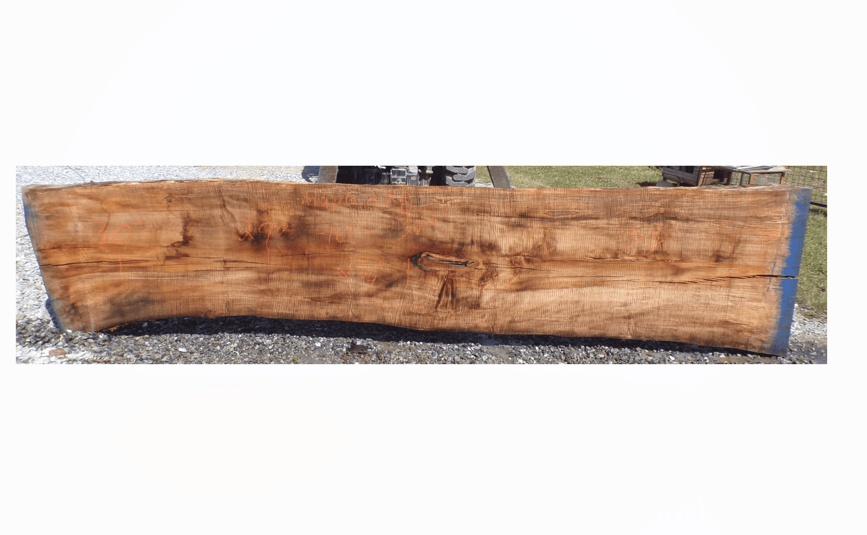 Live Edge Maple Slab 27D