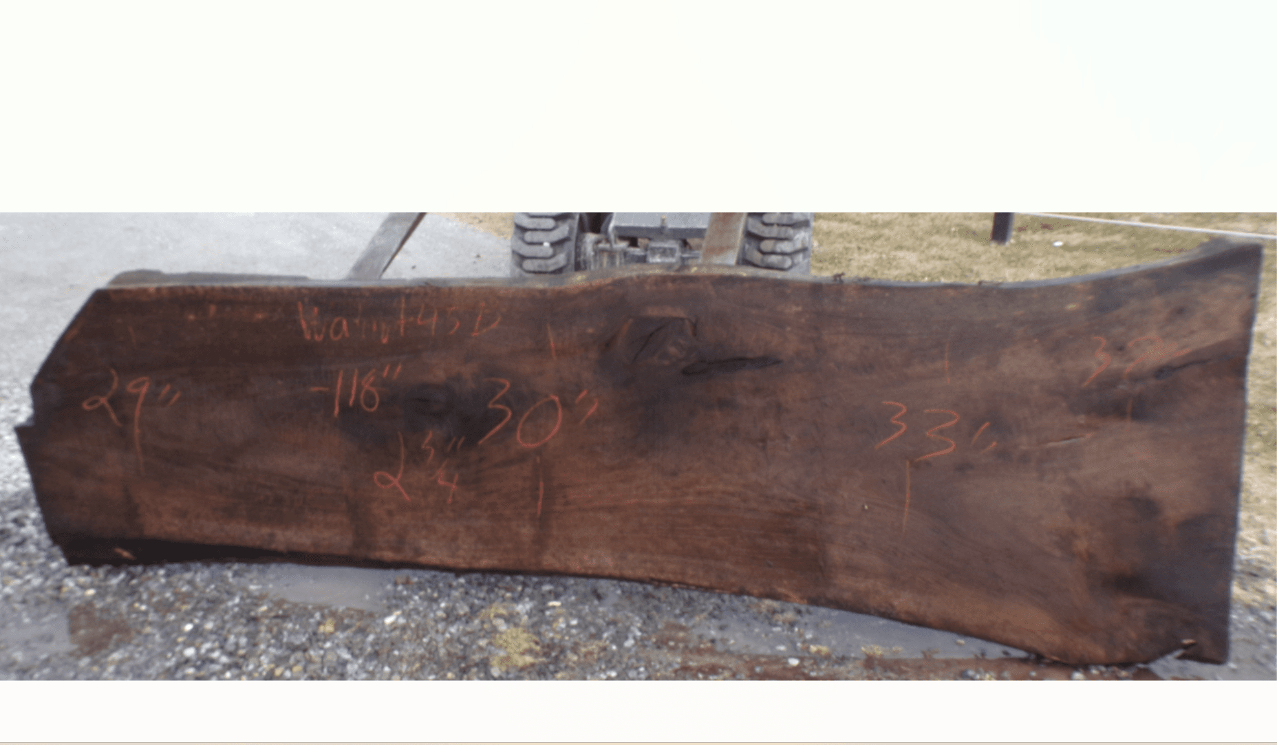 Live Edge Walnut Slab 45B