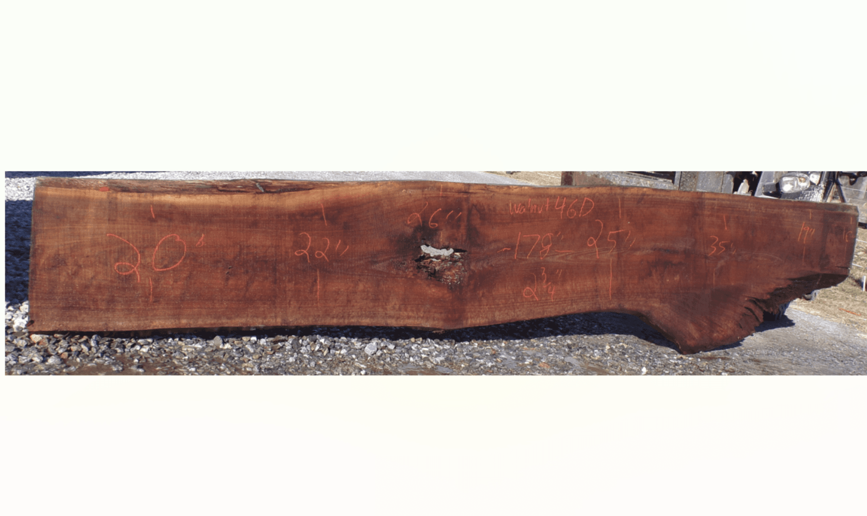Live Edge Walnut Slab 46D