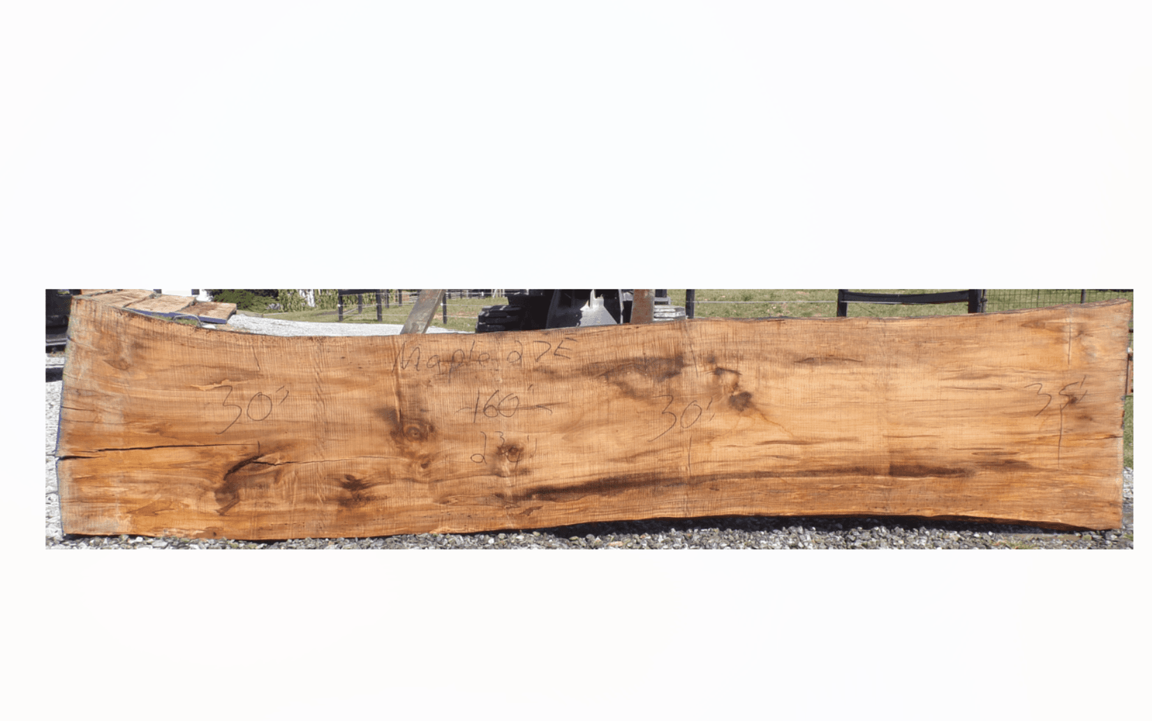 Live Edge Maple Slab 27E