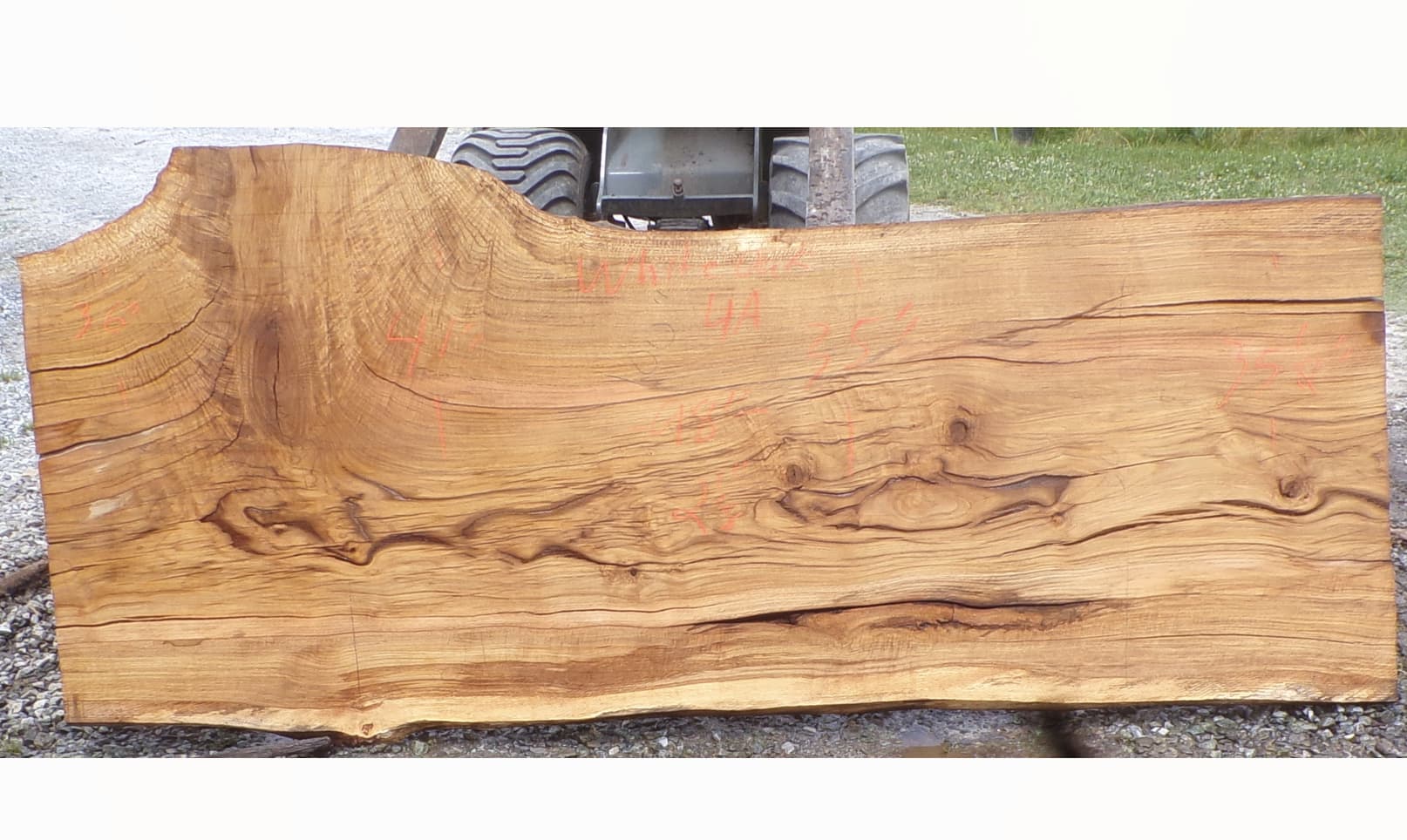 Live Edge White Oak Slab 4A