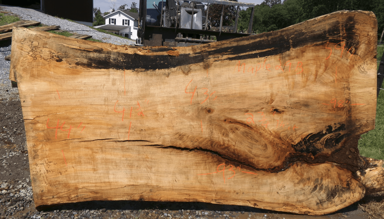 Live Edge Maple Slab 29B