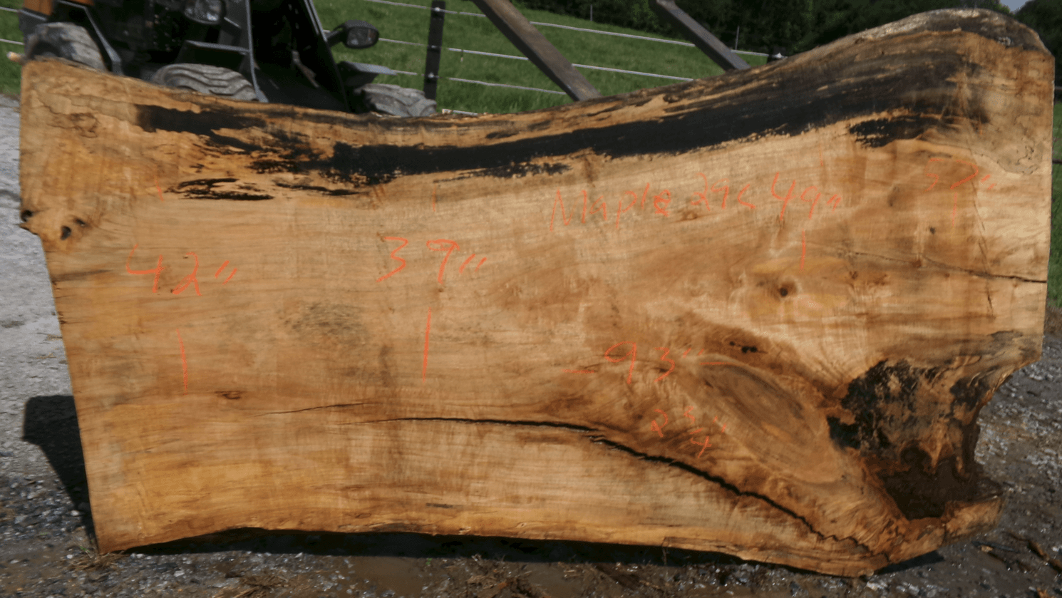 Live Edge Maple Slab 29C
