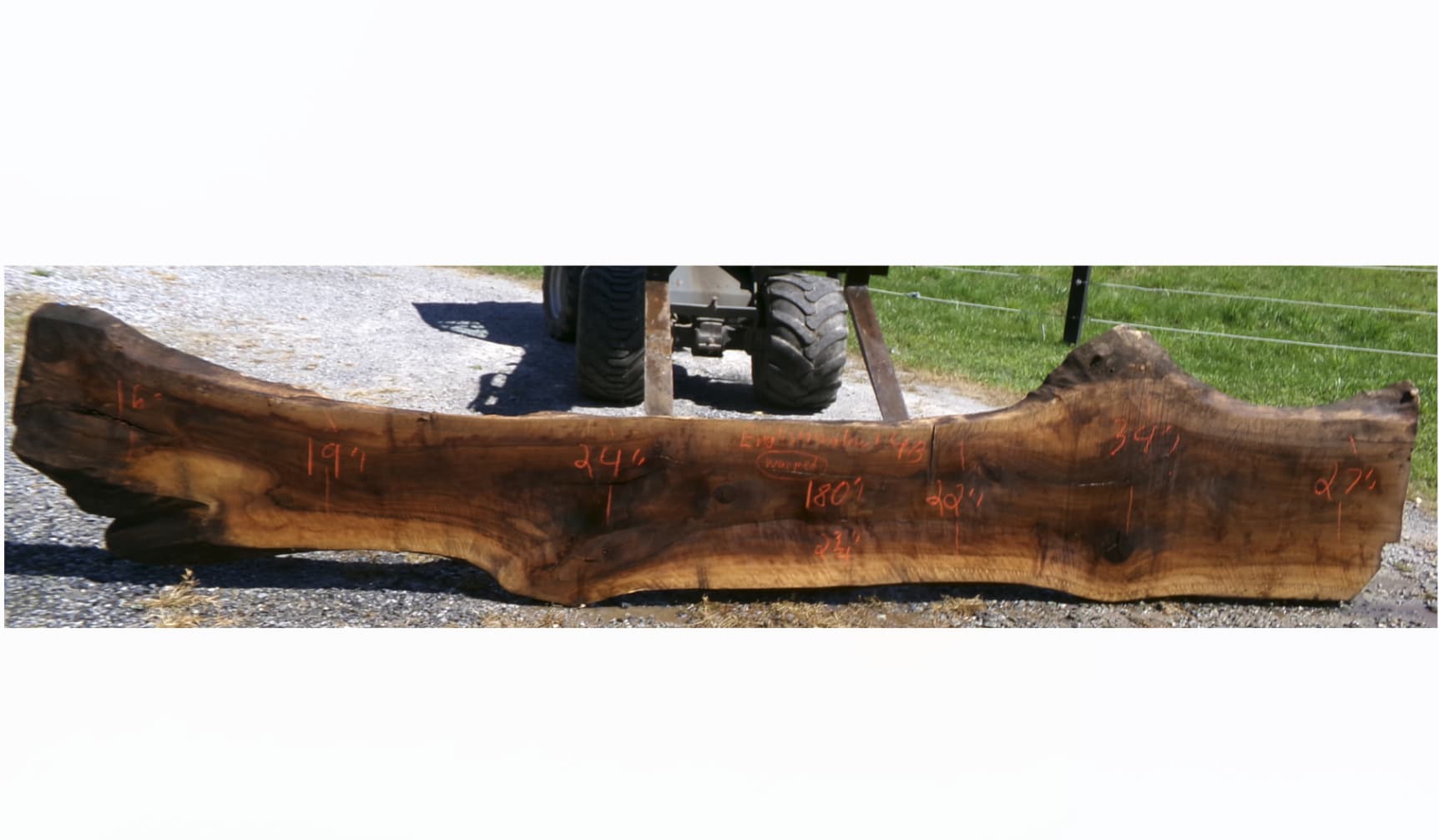 Live Edge English Walnut Slab 4B