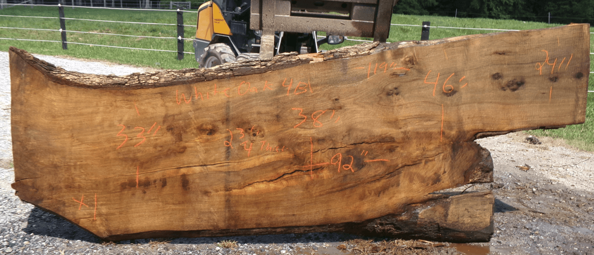 Live Edge White Oak Slab 4B