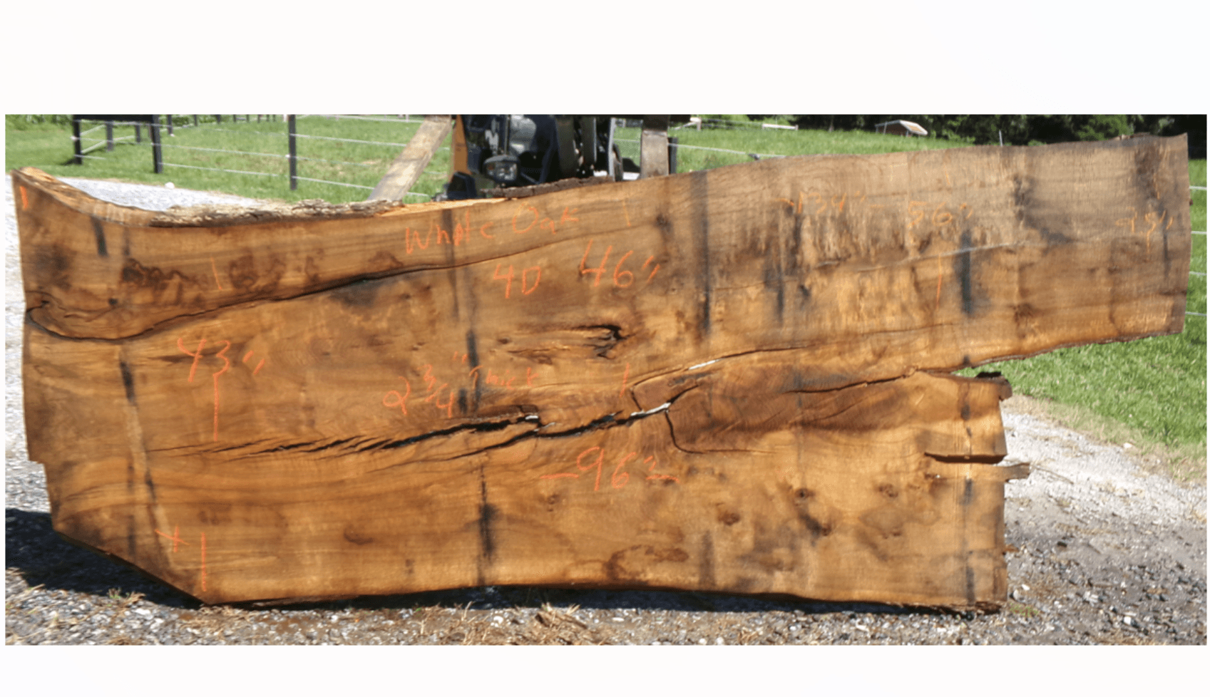 Live Edge White Oak Slab 4D