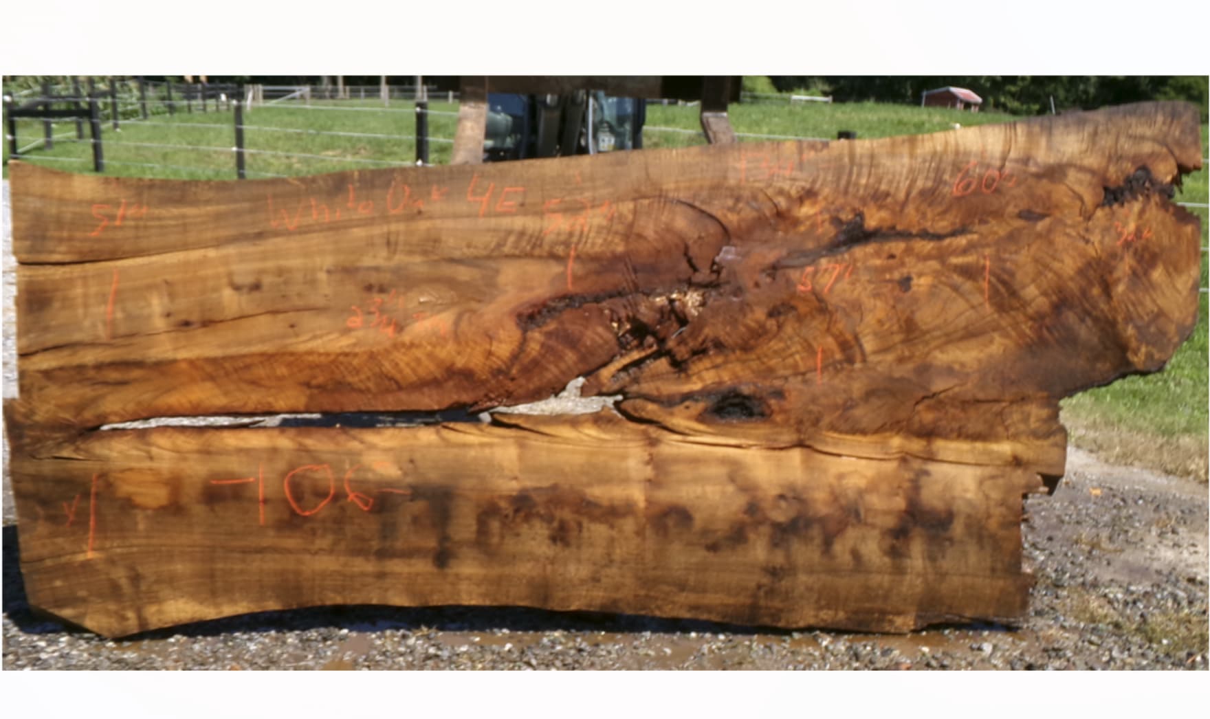 Live Edge White Oak Slab 4E