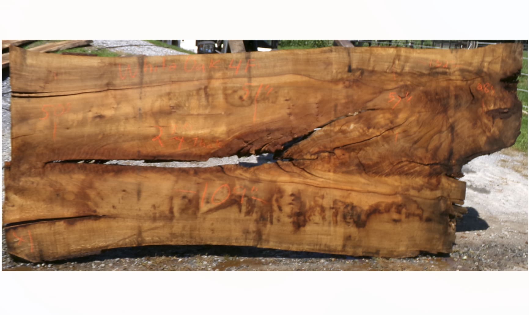 Live Edge White Oak Slab 4F
