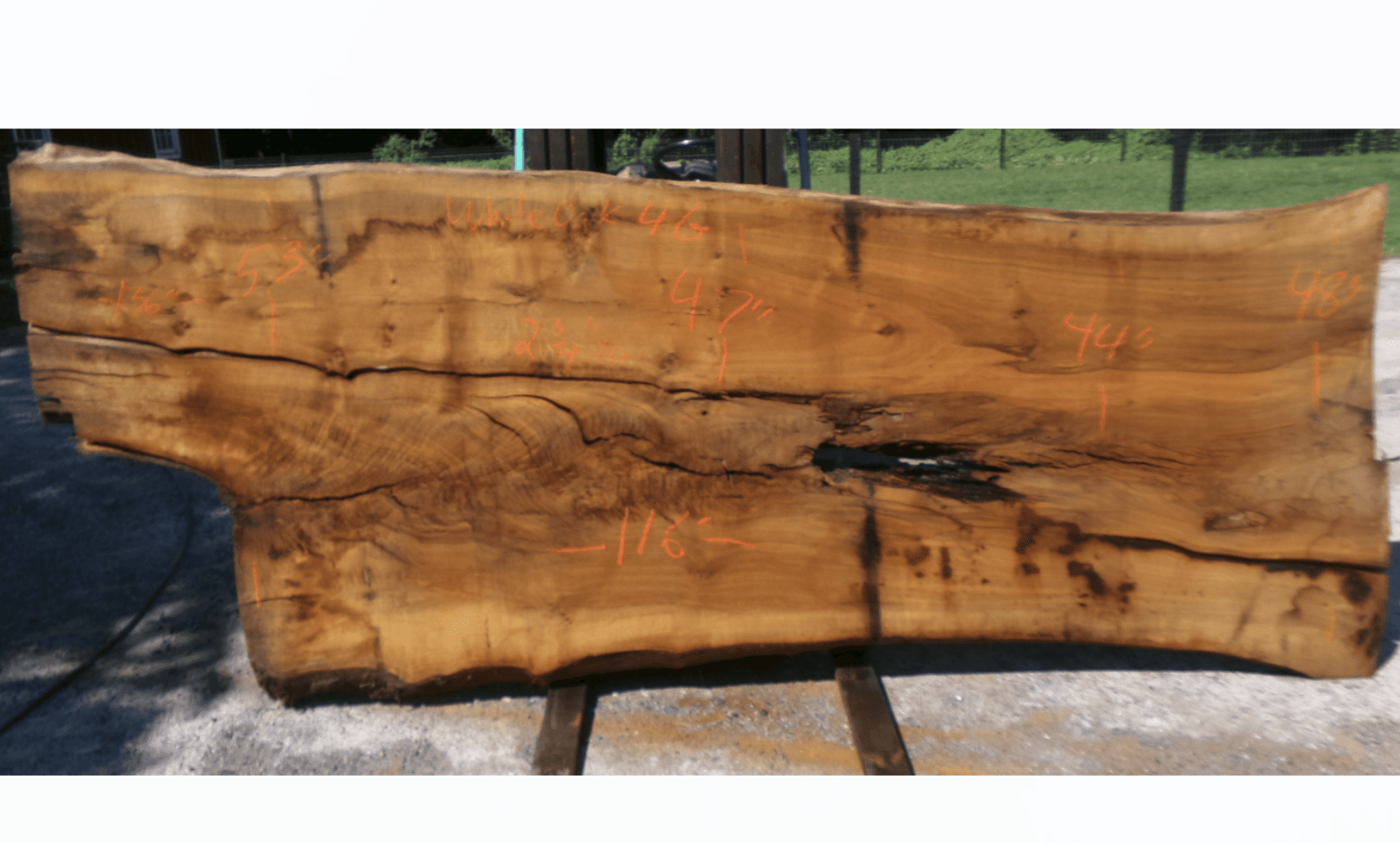 Live Edge White Oak Slab 4G