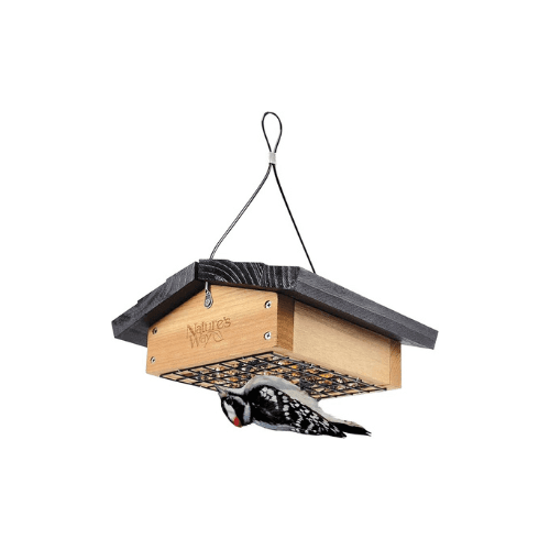 Nature’s Way Upsidedown Suet Feeder