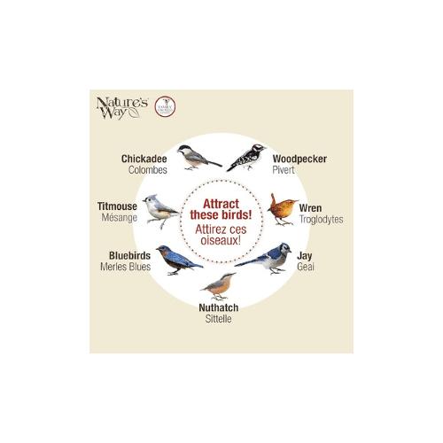 Nature’s Way Upsidedown Suet Feeder - thumbnail 5