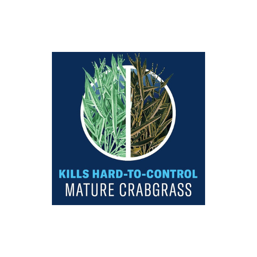 BioAdvanced Lawn Weed Crabgrass Killer 24oz. Ready to Use - thumbnail 3