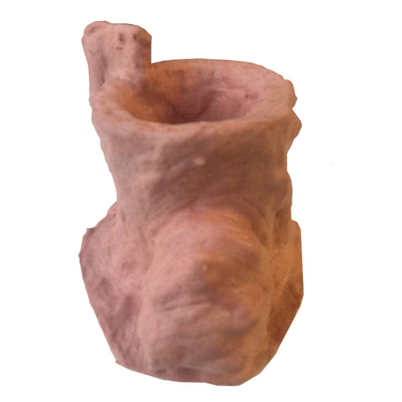 LCMOLDS Concrete Tree Stump Molds - thumbnail 3