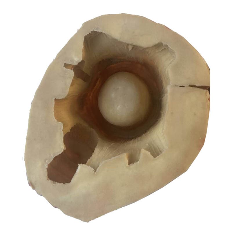 LCMOLDS Concrete Tree Stump Molds - thumbnail 4