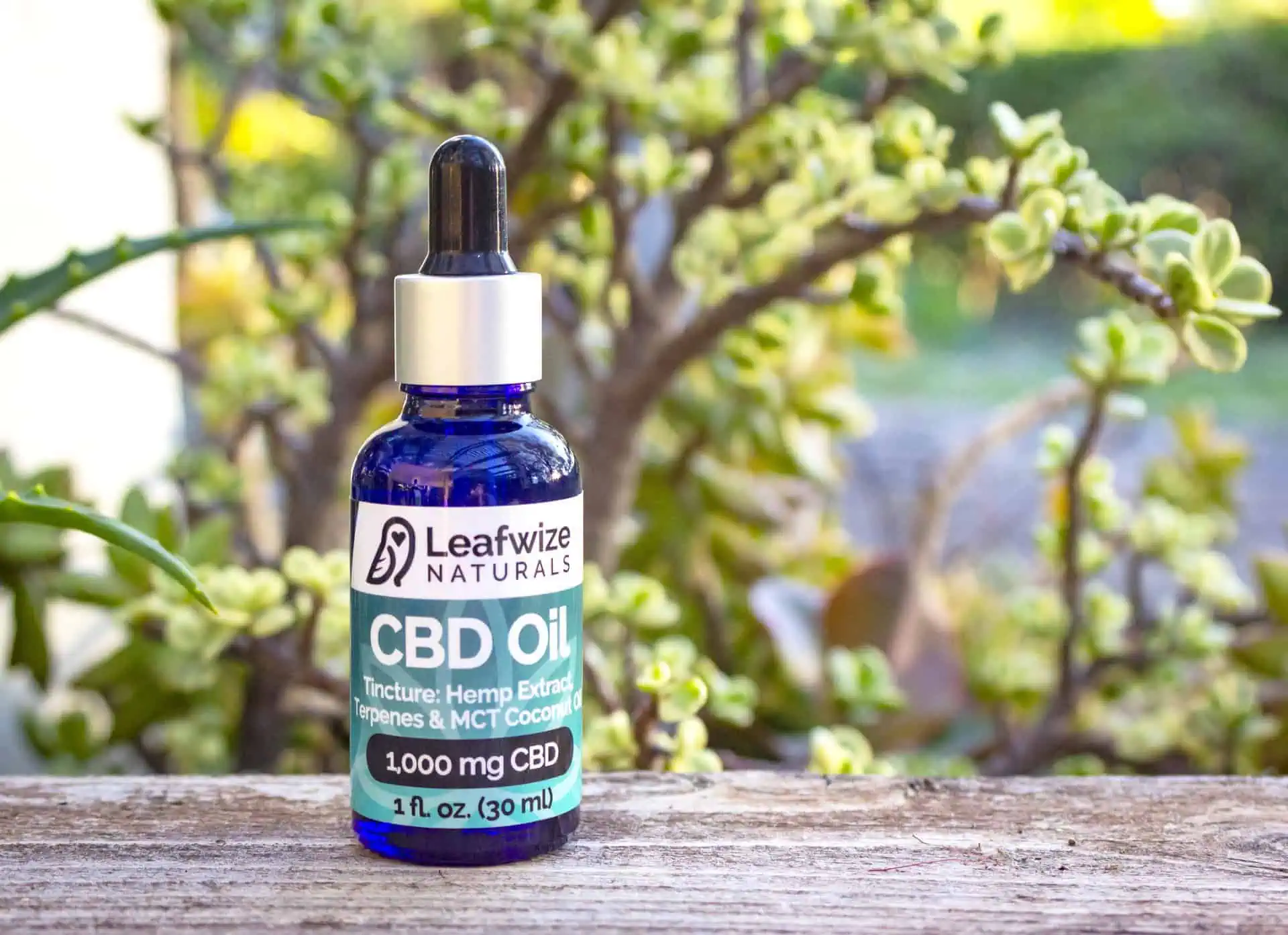 CBD Oil Tincture ~ Plain for Pets & Humans