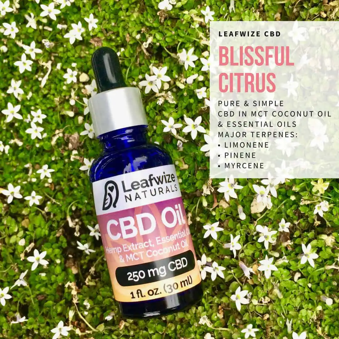 CBD Oil Tincture: Blissful Citrus