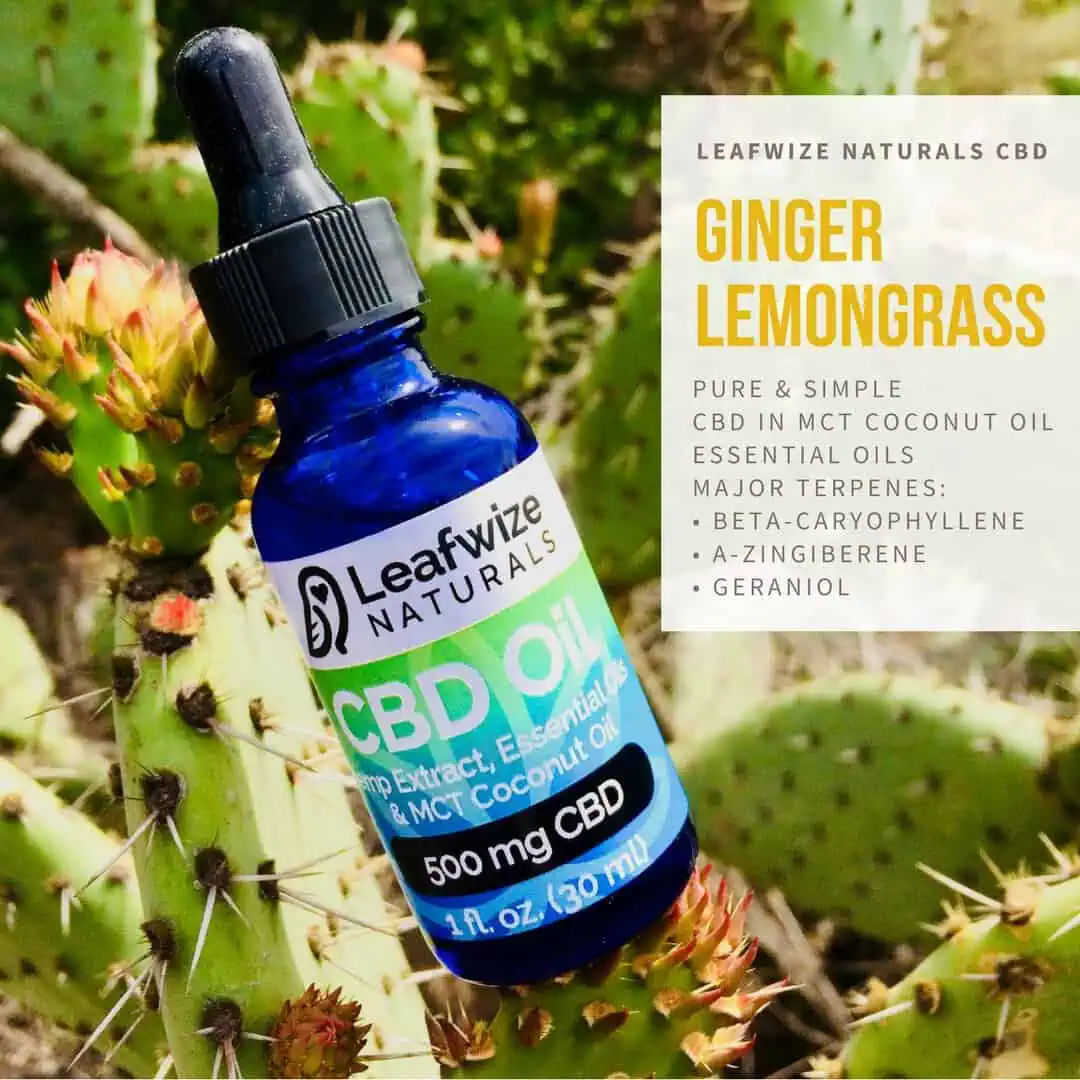 CBD Oil Tincture: Ginger Lemongrass