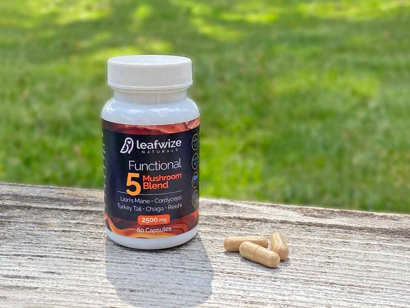 Functional 5 Mushroom Blend