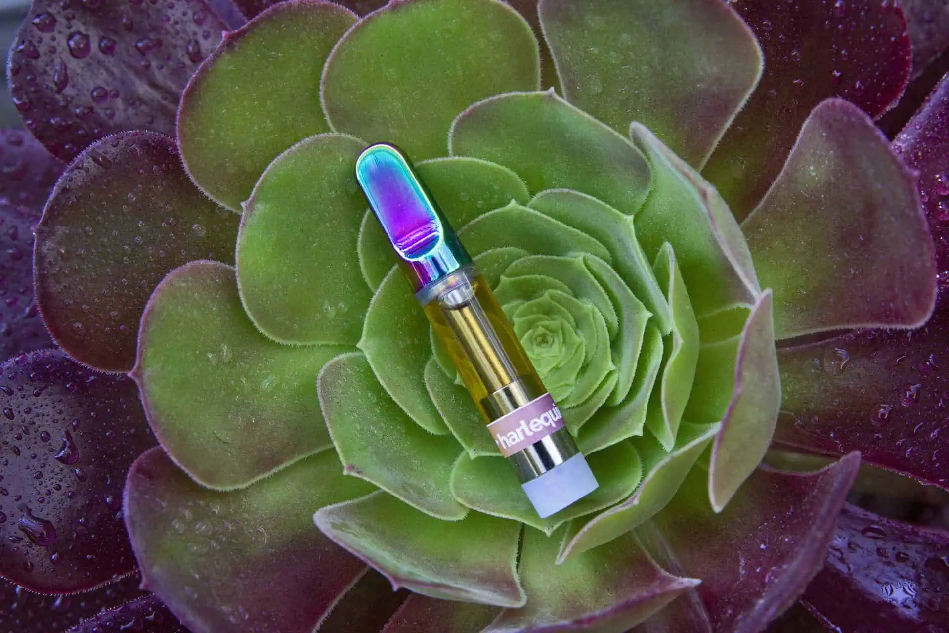 Harlequin CBD Vape Cart