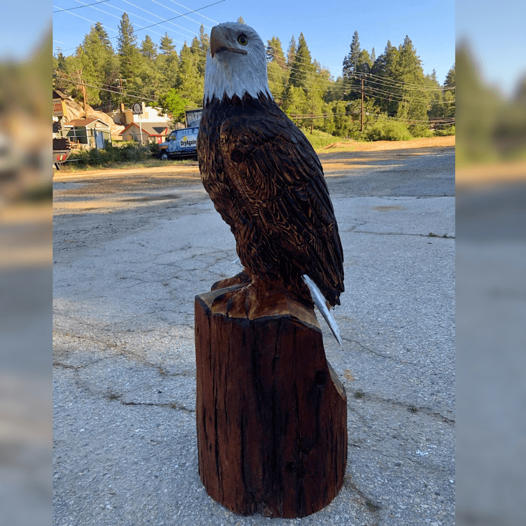 Bald Eagle Chainsaw Carving
