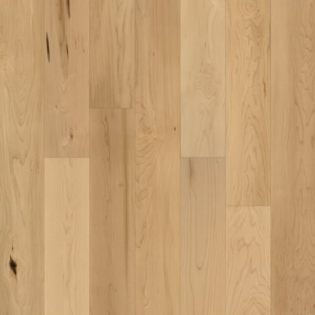 Engineered Hard Maple Coastal Clear - thumbnail 2
