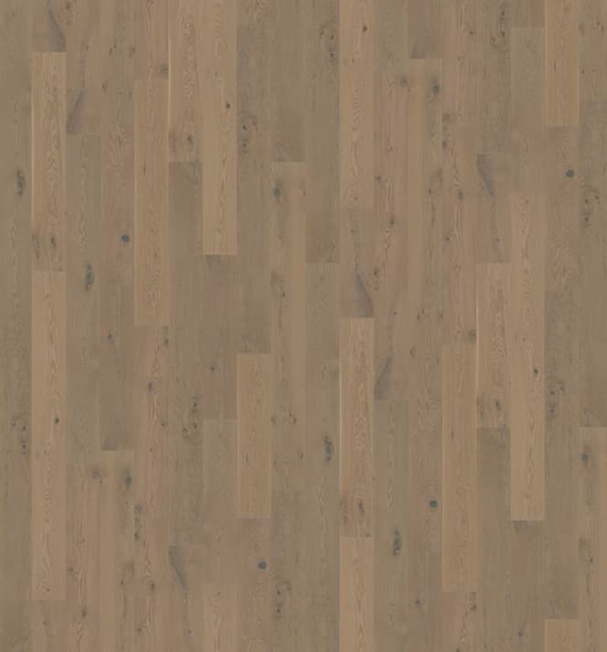 Maine Traditions Shell Stain - thumbnail 3