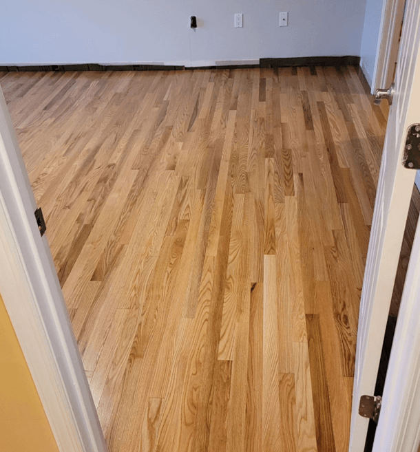 PRO Red Oak Clear Semi - thumbnail 3