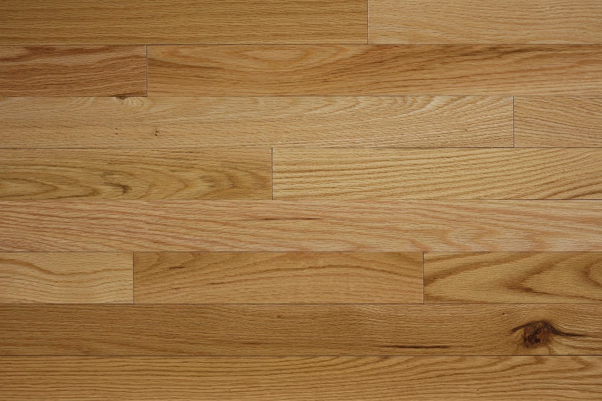 PRO Red Oak Clear Semi - thumbnail 2