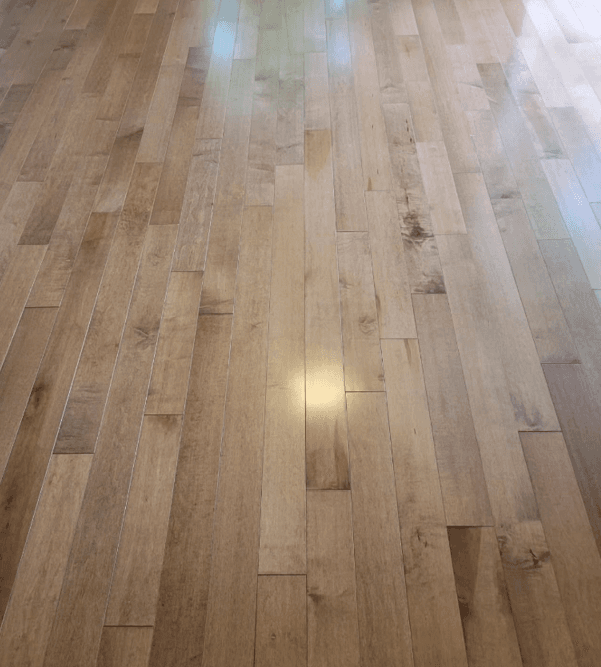 Hard Maple Cushing - thumbnail 10