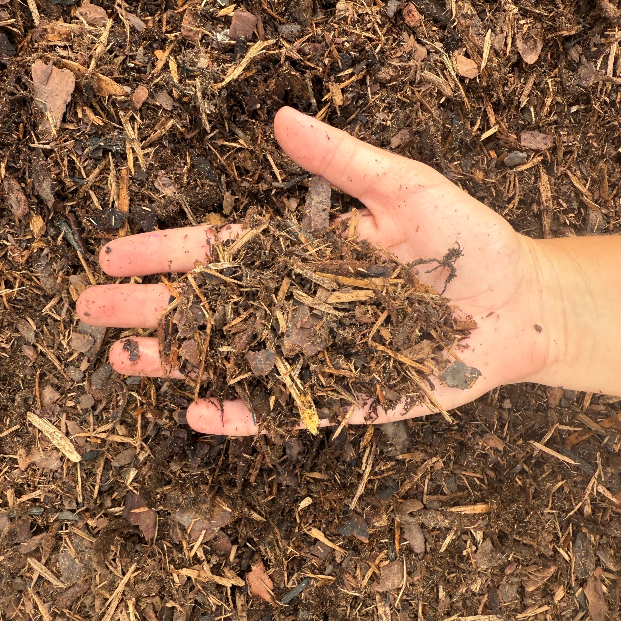Northern Pine Mulch - thumbnail 2