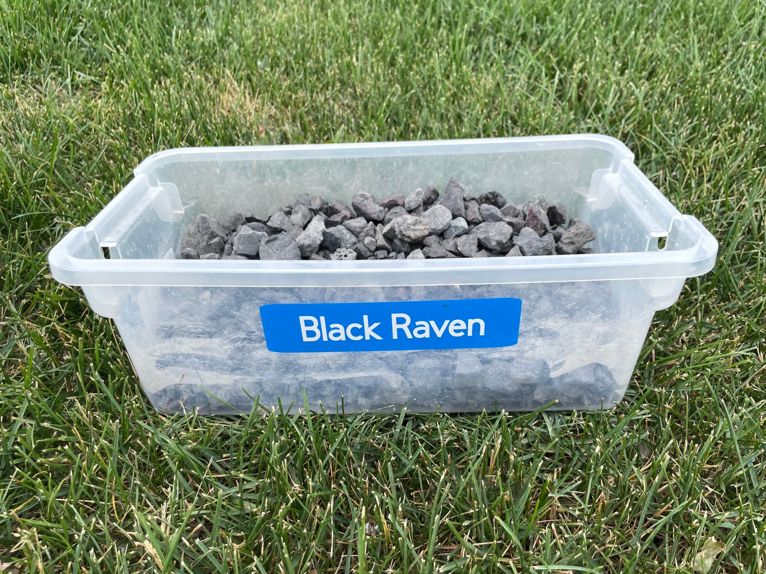 Black Raven - thumbnail 4