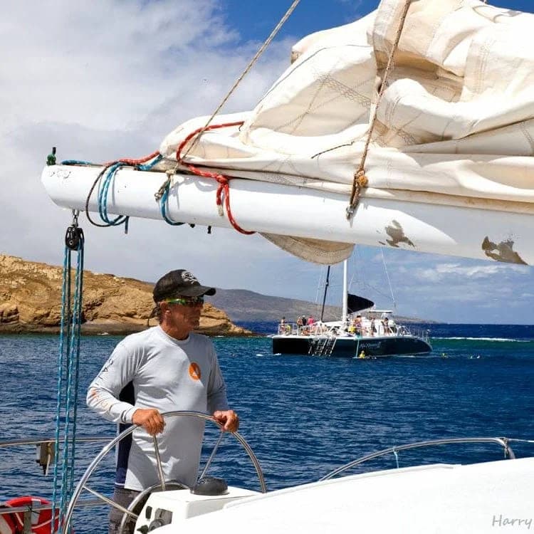 Paragon Sailing – Molokini Snorkeling - thumbnail 5