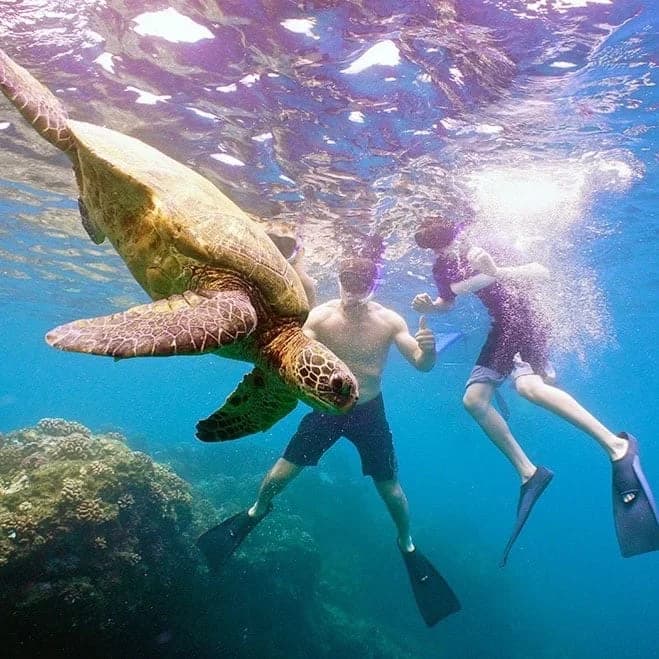 Paragon Sailing – Molokini Snorkeling - thumbnail 6