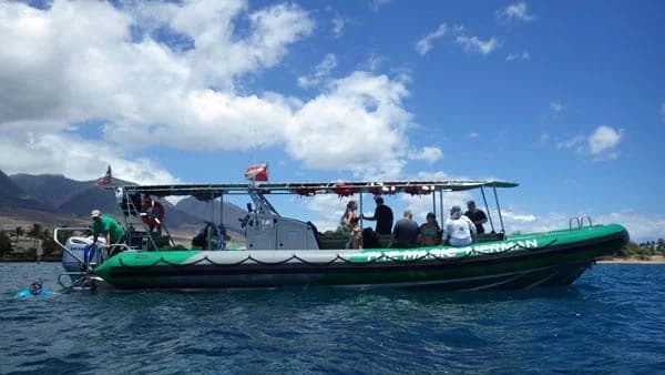 Magic Merman – Snorkel Tour - thumbnail 2