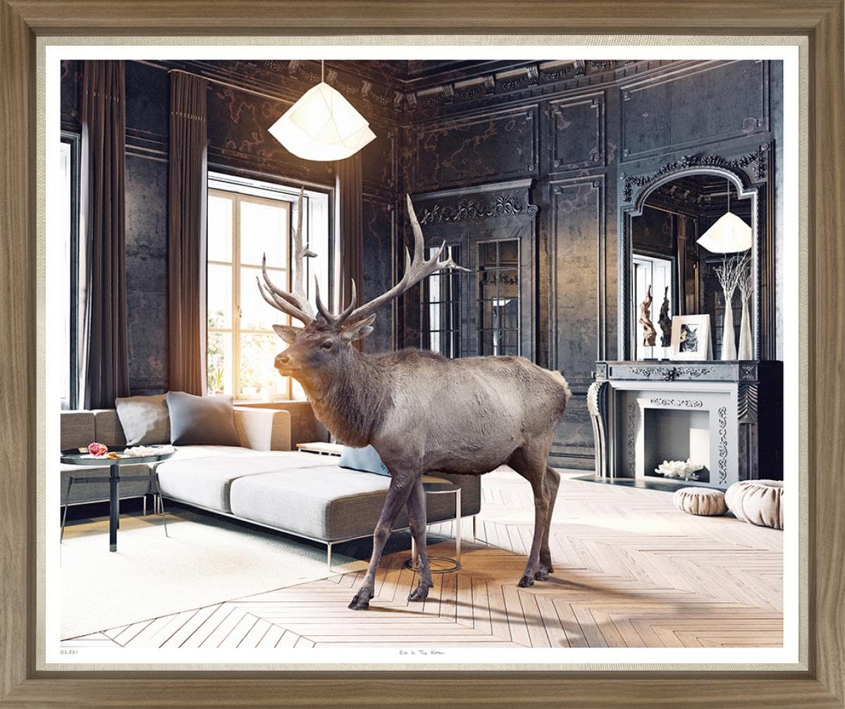 Elk in the Room Reproduction Photograph
