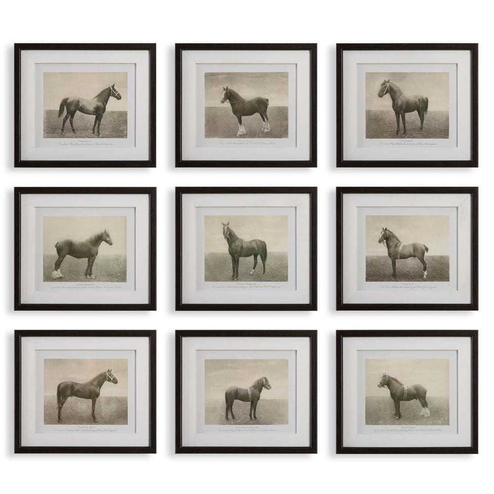 Set of 9 Horse Framed Prints