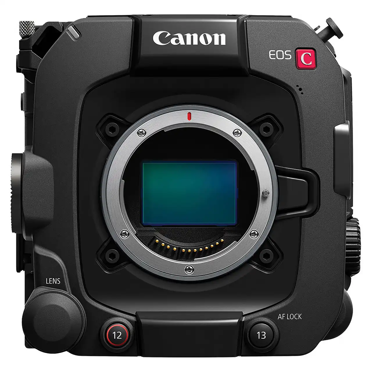 Canon EOS C80 Camera