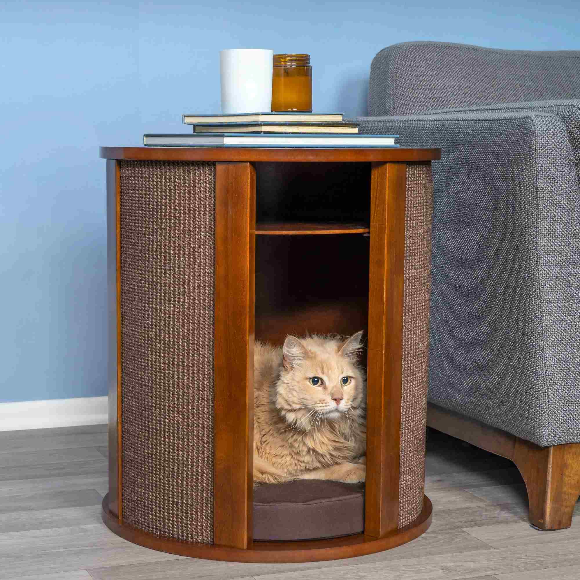 Open Box – Purrrrfect End Table