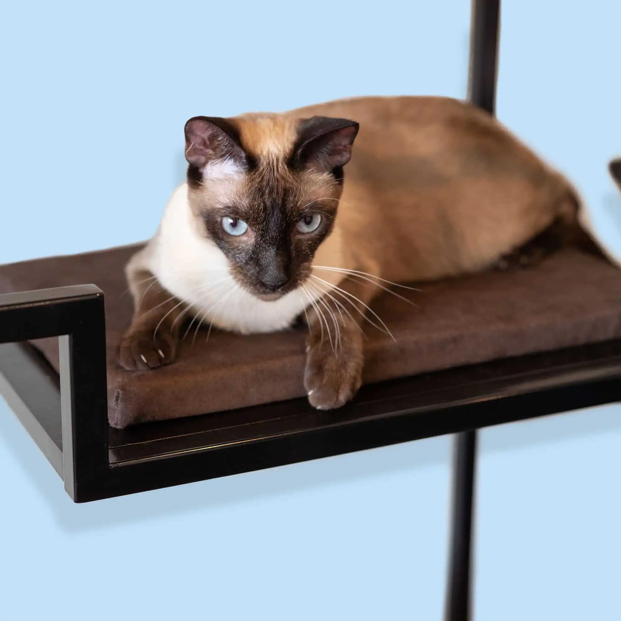 Metropolitan Replacement Cushion - thumbnail 3