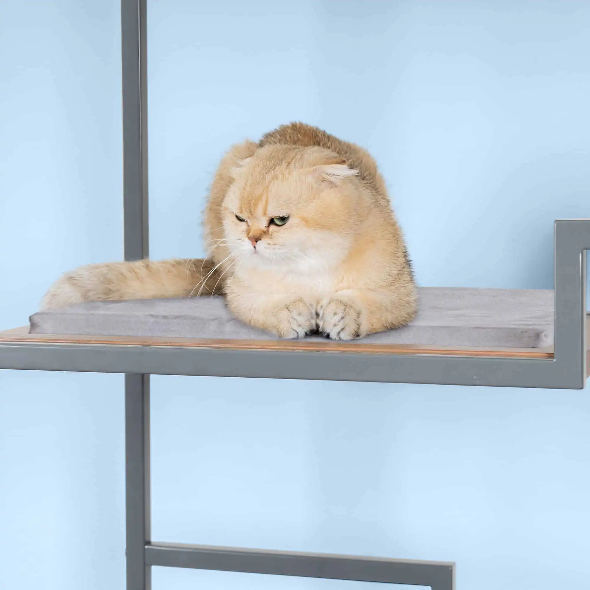Metropolitan Replacement Cushion