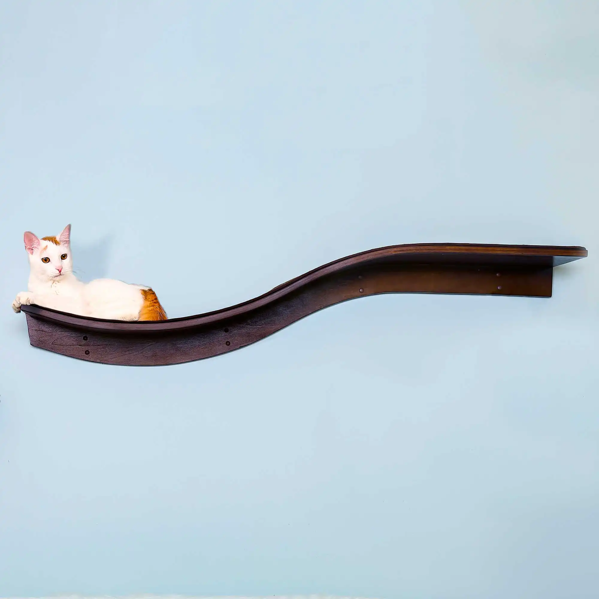 OPEN BOX – Lotus Branch Cat Shelf