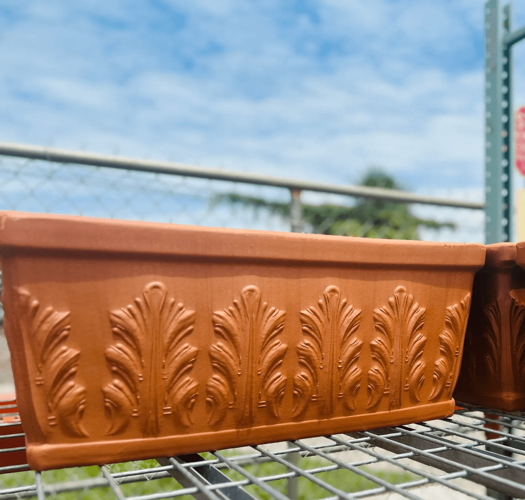 Terracotta Sienna Window 25×12