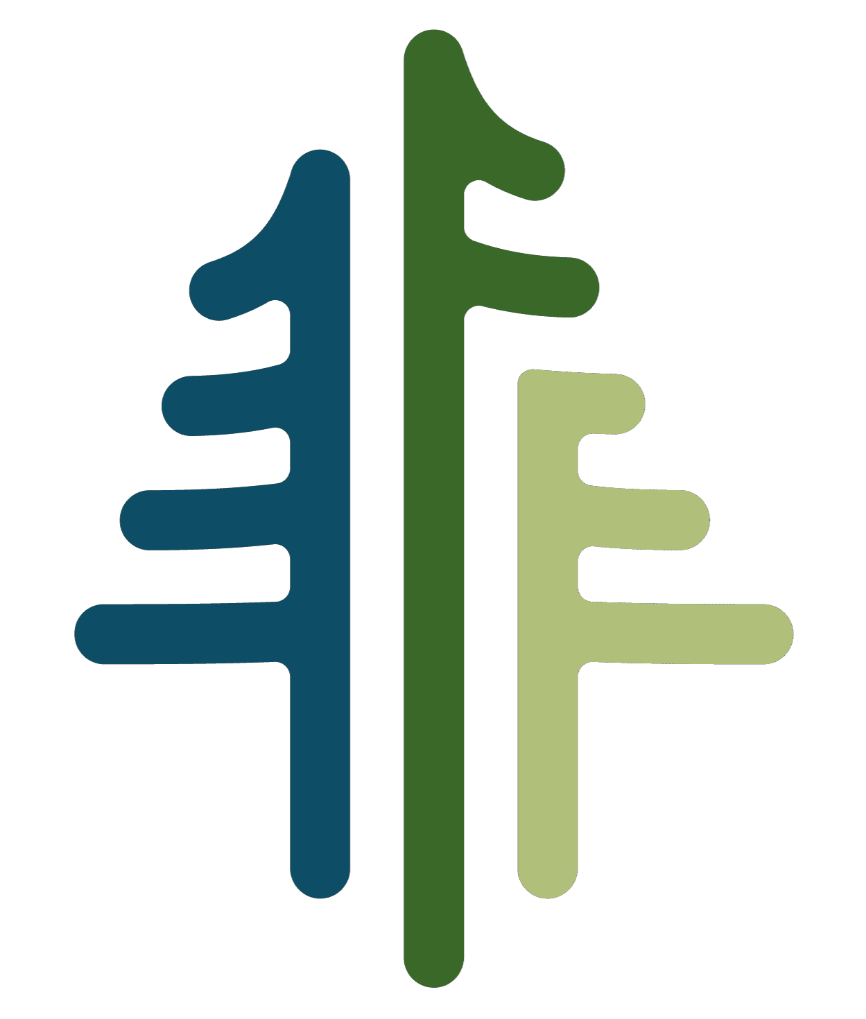 National Forest Foundation Donation - thumbnail 3